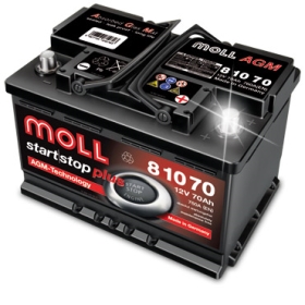 MOLL AGM
